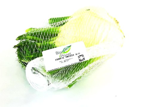 KOPER WŁOSKI ŚWIEŻY (FENKUŁ) BIO (około 0,35 kg)