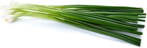 CEBULA ZE SZCZYPIORKIEM BIO (POLSKA) (około 50 g)