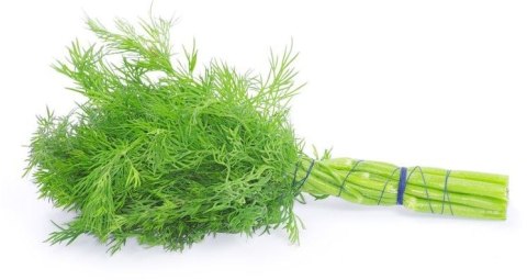 KOPER ŚWIEŻY (PĘCZEK) BIO (POLSKA) (około 35 g)