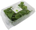 SZPINAK BABY ŚWIEŻY NIEMYTY BIO (około 0,10 kg)