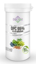 PESTKI WINOGRON EKSTRAKT 95% OPC 450 mg 60 KAPSUŁEK - SOUL FARM