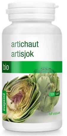 KARCZOCH W KAPSUŁKACH BIO 37,2 g (120 szt.) - PURASANA