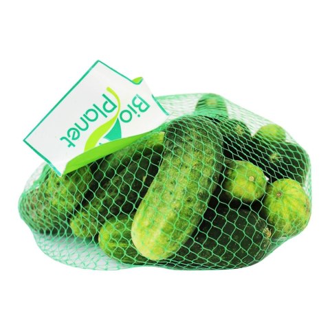 OGÓREK GRUNTOWY ŚWIEŻY BIO (POLSKA) (około 1,00 kg)