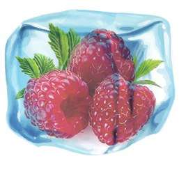 WKŁAD ŻELOWY CHŁODZĄCY DO LODÓWKI NA OKŁADY