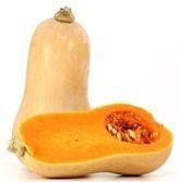 OPAKOWANIE ZBIORCZE (kg) - DYNIA PIŻMOWA (BUTTERNUT) ŚWIEŻA BIO (około 10 kg)