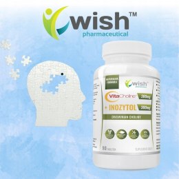 WISH VITACHOLINE 300MG INOZYTOL 300MG 90 TABL
