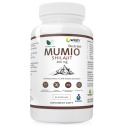 WISH MUMIO HIMALAJSKIE SHILAJIT 400MG 90 KAPS VEGE