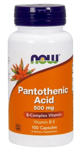 NOW FOODS Pantothenic Acid, 500mg - 100 caps