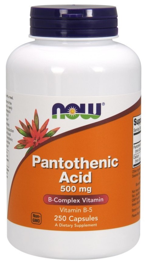 NOW FOODS Pantothenic Acid, 500mg - 250 caps