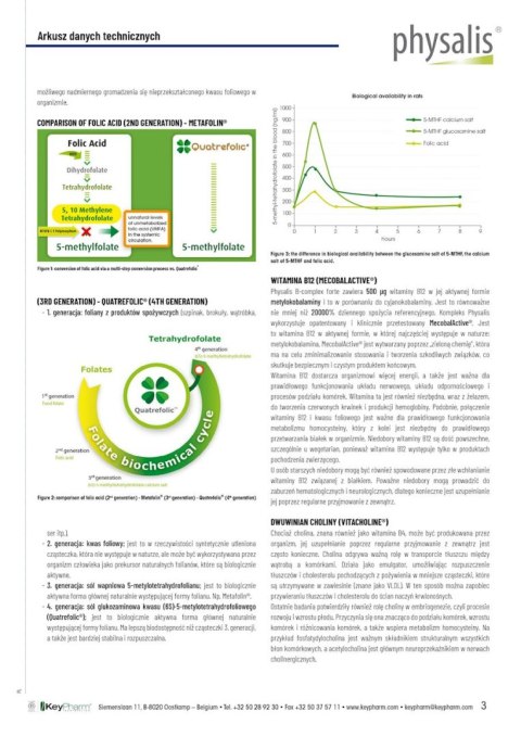 WITAMINA B-COMPLEX FORTE 30 TABLETEK - PHYSALIS