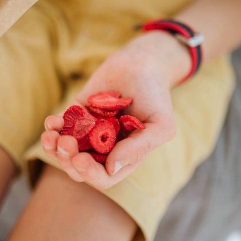 SUCHY PROWIANT LIOFILIZOW TRUSKAWKI BIO 20g HELPA