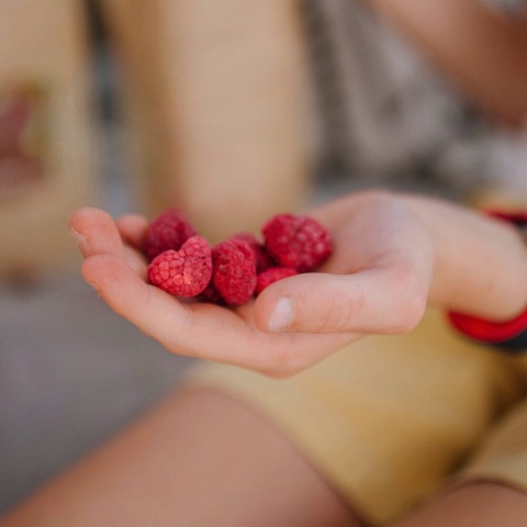 SUCHY PROWIANT LIOFILIZOWANE MALINY BIO 20 g HELPA