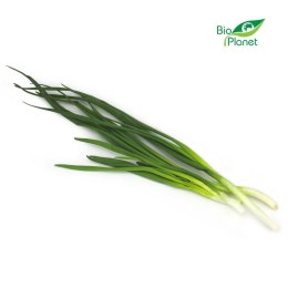 CEBULA ZE SZCZYPIORKIEM ŚWIEŻA BIO (około 0,20 kg)