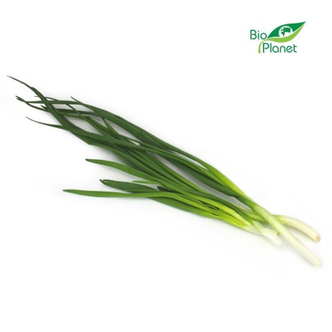CEBULA ZE SZCZYPIORKIEM ŚWIEŻA BIO (około 0,20 kg)