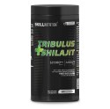 TRIBULUS + SHILAJIT (MUMIO) BUZDYGANEK SHILAJIT - 180 VEGAN CAPS SKILL