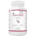 TERMIN 31/10/2026 WISH DZIKA RÓŻA 200MG DO SSANIA SZAŁWIA 120 TAB