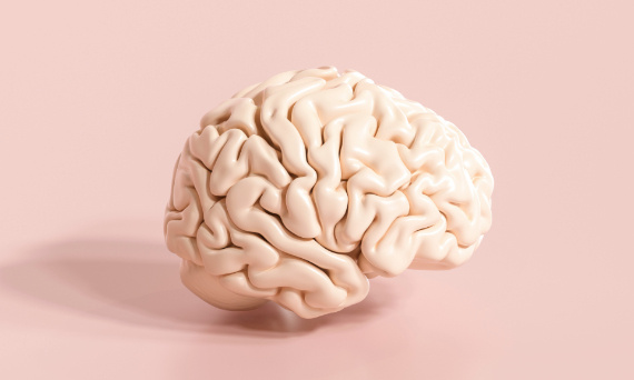 Jak trening wpływa na mózg?