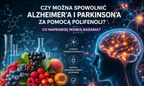 Czy można spowolnić Alzheimer'a i Parkinson'a za pomocą polifenoli? Co naprawdę mówią badania o polifenolach?