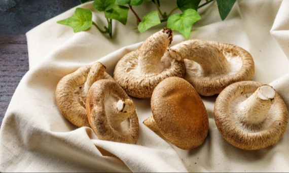 Test wiedzy o grzybach - odpowiedz na 10 pytań!