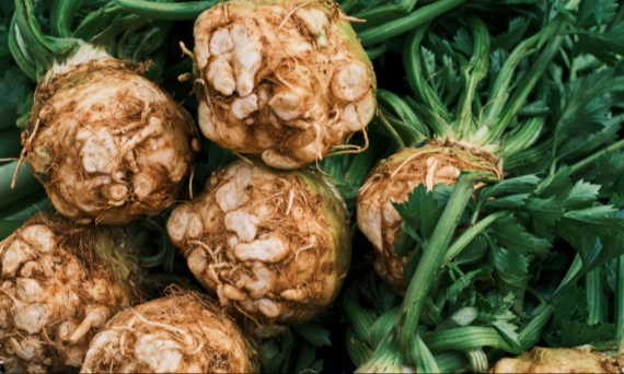 Czy seler ma mało kalorii?