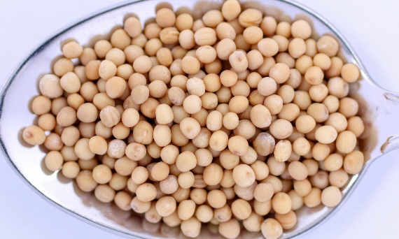 Czy można jeść ziarna gorczycy?