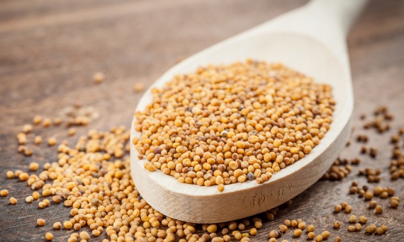 Czy musztarda jest keto?