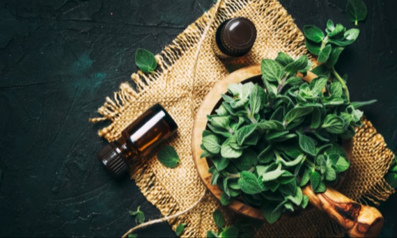 Karwakrol – jak działa olejek z oregano?