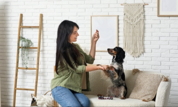 Jak utrzymać czystość domu z psem?