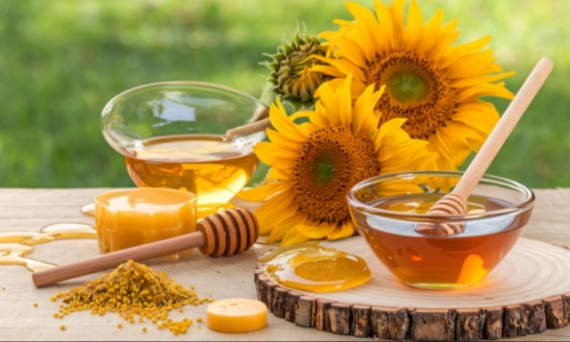 Jakie bakterie zabija propolis?