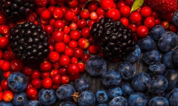 Czy resweratrol odchudza?