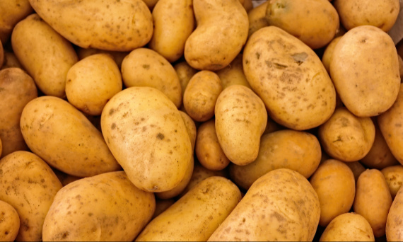 Jak powstaje skrobia ziemniaczana?