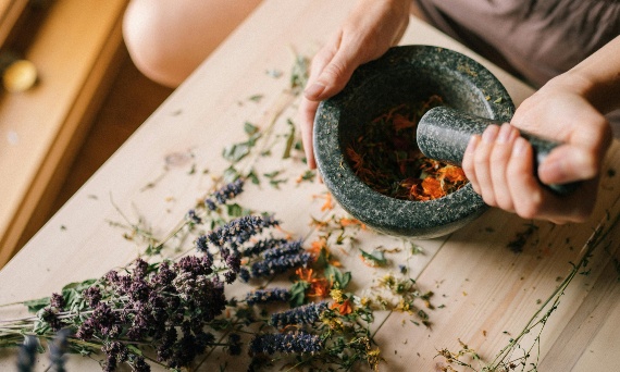 Test wiedzy o polskich ziołach – sprawdź się