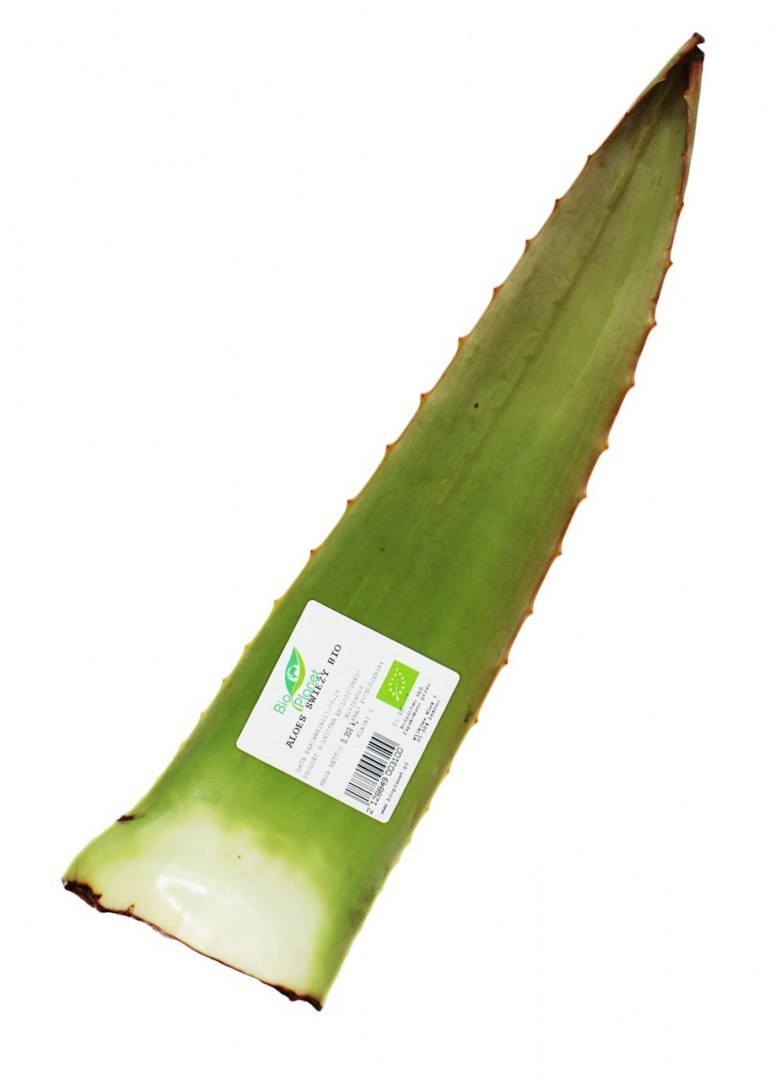 ekologiczny aloes